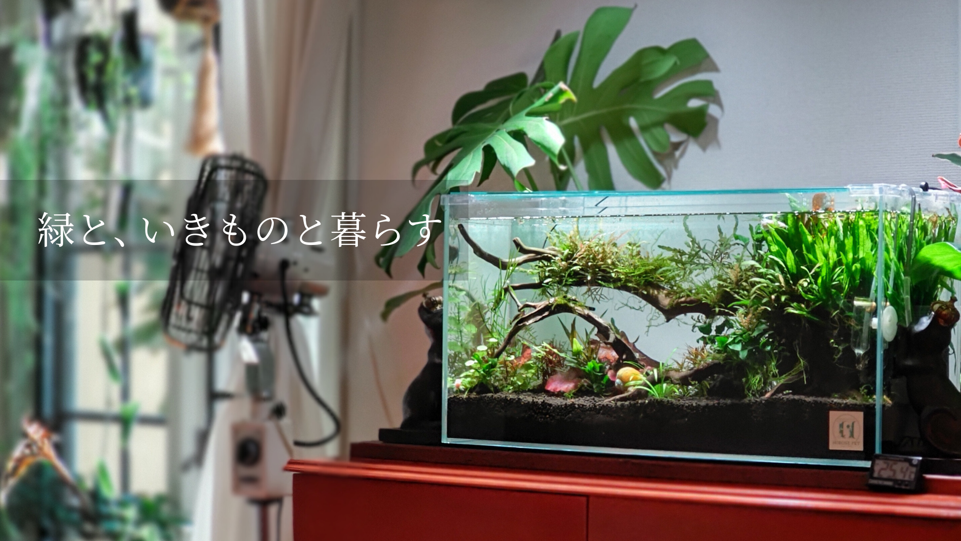 ヒロセアクアワークス【公式】｜株式会社広瀬｜水槽、金魚、熱帯魚 